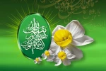 ولادت حضرت مهدی