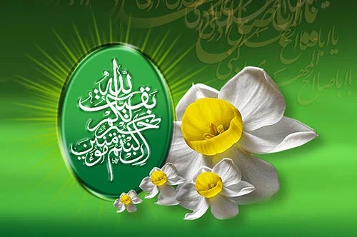 ولادت حضرت مهدی