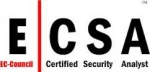 امنیت شبکه و اطلاعات ( ECSA ) 2
