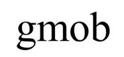 امنیت شبکه و اطلاعات ( GMOB ) 2