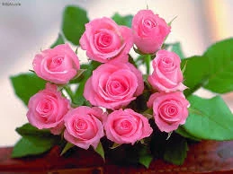 اطلاعیه
