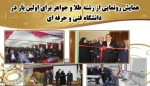 طلا