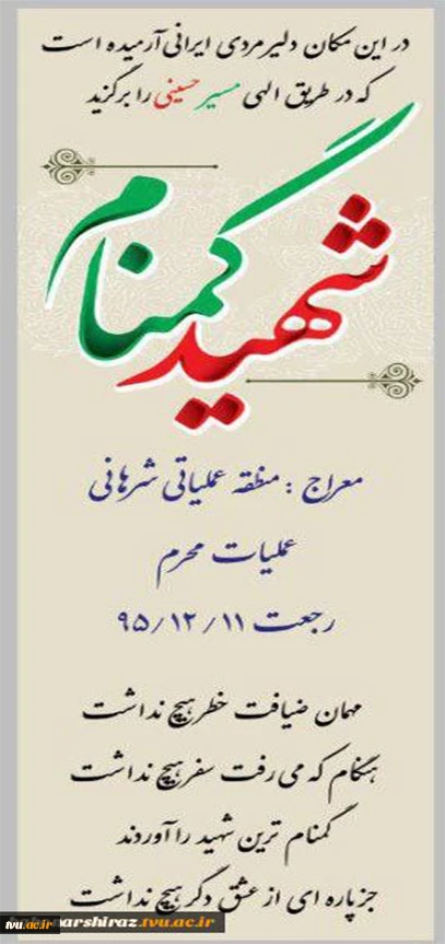 پرستوی مهاجر دوران دفاع مقدس بعد از ۳۴ سال در دانشکده باهنر شیراز آرام گرفت