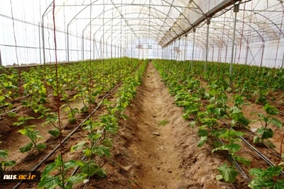 TVU is looking for international corporation and collaboration  2