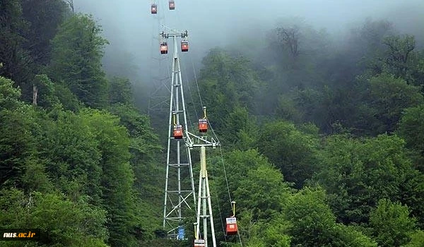 Golestan Jungle _ Iran 2