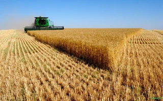 Agriculture