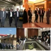 صدیقی