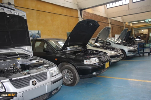 Programs and the number of universities offering these subjects  2