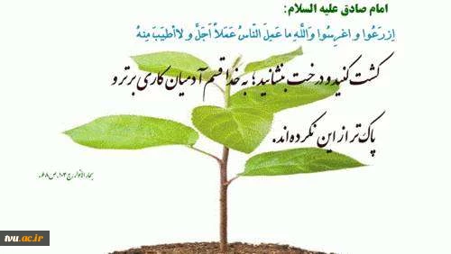 15 اسفند روز درختکاری گرامی باد