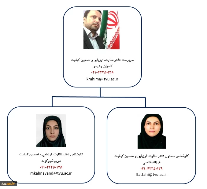 ساختار سازمانی 2
