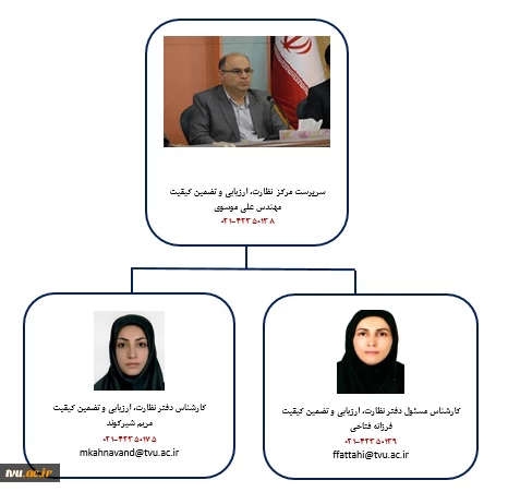 چارت سازمانی