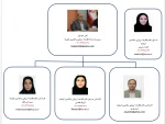چارت سازمانی مرکز نظارت، ارزیابی و تضمین کیفیت