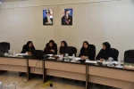 جلسه کارگروه بازنگری و تدوین آیین نامه های استخدامی خاص اعضای هیأت علمی فنی
