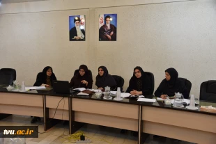 جلسه کارگروه بازنگری و تدوین آیین نامه های استخدامی خاص اعضای هیأت علمی فنی
