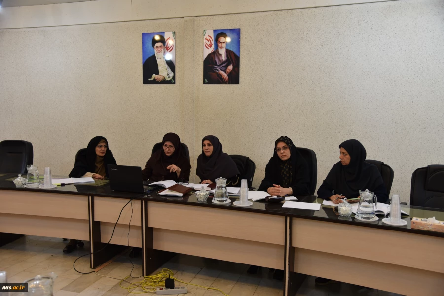 جلسه کارگروه بازنگری و تدوین آیین نامه های استخدامی خاص اعضای هیأت علمی فنی
