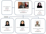 چارت سازمانی مرکز نظارت، ارزیابی و تضمین کیفیت