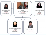 ساختار سازمانی 2