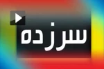 دوربین سرزده