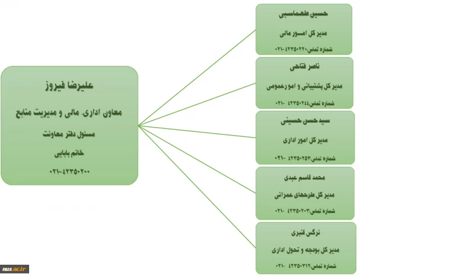 چارت سازمانی1