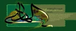 امام هادی