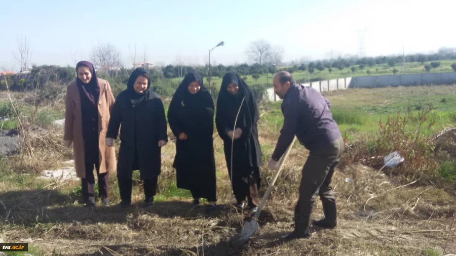 آیین کاشت نهال به مناسبت روز درختکاری و هفته منابع طبیعی در آموزشکده فنی و حرفه ای دختران آمل 2