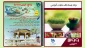 وبینار8