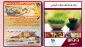 وبینار9