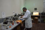 با تلاش عضو هیأت علمی دانشگاه فنی و حرفه ای؛

تولید نخ بخیه قابل جذب پروتئینی از کازئین شیر به کمک فناوری نانو و اثر القایی فتو الکتریکی 2