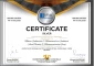 Silver Certificate for the Invention