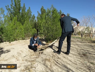 در راستای پویش ملی همکاشت  150اصله نهال در محوطه آموزشکده فنی کشاورزی امین غرس شد.