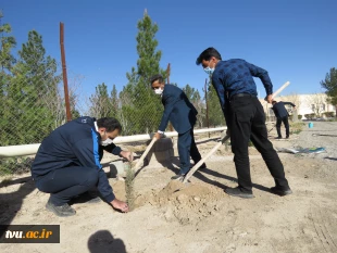 در راستای پویش ملی همکاشت  150اصله نهال در محوطه آموزشکده فنی کشاورزی امین غرس شد.
