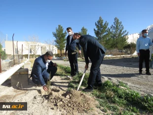 در راستای پویش ملی همکاشت  150اصله نهال در محوطه آموزشکده فنی کشاورزی امین غرس شد.