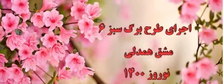 اجرای طرح برگ سبز 6