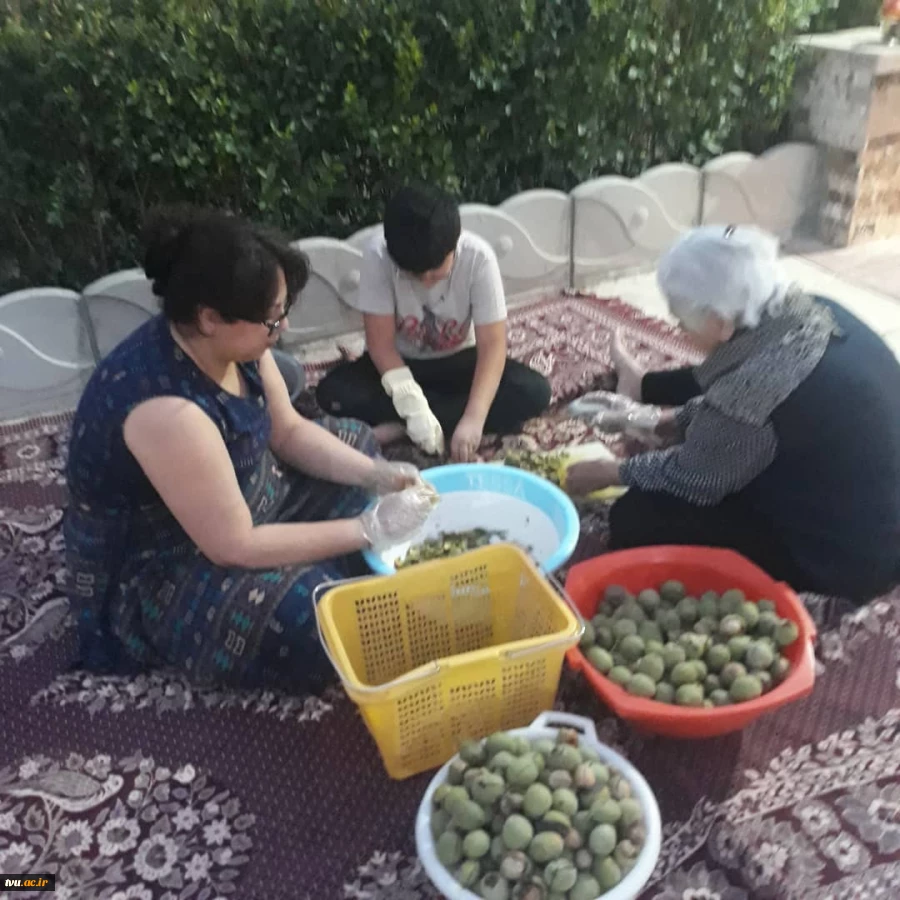 سری ششم سلسله مدارس تابستانه داغ مهارتی دانشگاه فنی و حرفه ای با محوریت و میزبانی استان خوزستان و همکاری استان های لرستان و مرکزی از روز سه شنبه ۱۶ شهریور لغایت شنبه ۲۰ شهریور ۱۴۰۰ برگزار گردید 2