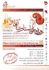 رویداد ملی استارت آپی ترمه 2