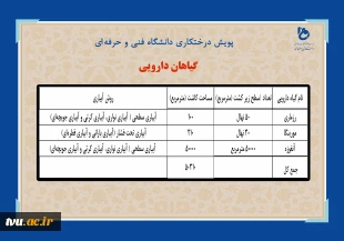 دانشگاه فنی وحرفه‌ای در هفته منابع طبیعی اسفندماه 1400:

غرس بیش از 16619 اصله نهال در فضایی به مساحت بالغ بر 597103 متر مربع در دانشکده‌ها و آموزشکده‌های فنی و حرفه‌ای سراسر کشور 
 9