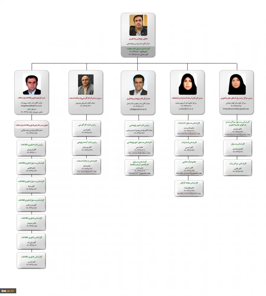 چارت سازمانی 2