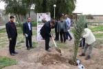 غرس دو اصله نخل مثمر در آموزشکده فنی و حرفه‌ای شهید چمران اهواز توسط دکتر خسرویان 3