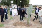 غرس دو اصله نخل مثمر در آموزشکده فنی و حرفه‌ای شهید چمران اهواز توسط دکتر خسرویان 4