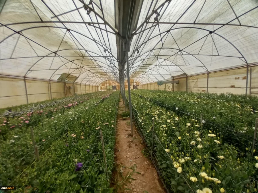 بازدید رئیس دانشگاه فنی وحرفه‌ای و هیئت همراه از آموزشکده‌های فنی و حرفه‌ای شهرستان نیشابور 11