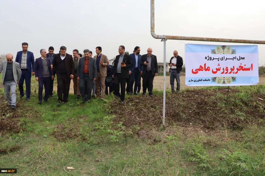 در سفر رئیس دانشگاه فنی و حرفه‌ای به استان مازندران رقم خورد: 

افتتاح و کلنگ‌زنی چند پروژه در مراکز تابع دانشگاه فنی و حرفه‌ای استان 6