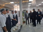 برگزاری آیین افتتاح آشپزخانه دانشگاه فنی و حرفه‌ای استان مرکزی 3