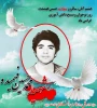 سالروز شهادت حسین فهمیده و هفته بسیج دانش آموزی گرامی باد 2