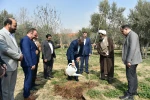 ‌مناسبت هفته منابع طبیعی و روز درختکاری با حضور رئیس دانشگاه ملی مهارت صورت گرفت:

 آئین درختکاری و کاشت نهال در محوطه دانشکده دختران دکتر شریعتی تهران 3