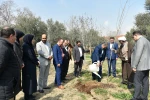 ‌مناسبت هفته منابع طبیعی و روز درختکاری با حضور رئیس دانشگاه ملی مهارت صورت گرفت:

 آئین درختکاری و کاشت نهال در محوطه دانشکده دختران دکتر شریعتی تهران 4
