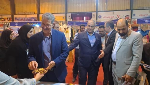 با حضور معاون توسعه اشتغال وزارت تعاون، کار و رفاه اجتماعی آغاز به کار کرد:

برپایی هشتمین بازارچه دانشجویی دانشگاه ملی مهارت در دانشکده دکتر شریعتی تهران 5