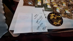 با حضور معاون توسعه اشتغال وزارت تعاون، کار و رفاه اجتماعی آغاز به کار کرد:

برپایی هشتمین بازارچه دانشجویی دانشگاه ملی مهارت در دانشکده دکتر شریعتی تهران 8