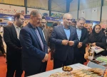 با حضور معاون توسعه اشتغال وزارت تعاون، کار و رفاه اجتماعی آغاز به کار کرد:

برپایی هشتمین بازارچه دانشجویی دانشگاه ملی مهارت در دانشکده دکتر شریعتی تهران 12
