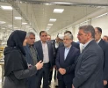 دکتر سیمایی، وزیر علوم، تحقیقات و فناوری در اجلاس رؤسای دانشکده‌ها و آموزشکده‌‌های دانشگاه ملی مهارت:
امید من در وزارت علوم به دانشگاه ملی مهارت است 5