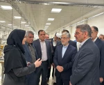 دکتر سیمایی، وزیر علوم، تحقیقات و فناوری در اجلاس رؤسای دانشکده‌ها و آموزشکده‌‌های دانشگاه ملی مهارت:
امید من در وزارت علوم به دانشگاه ملی مهارت است 5